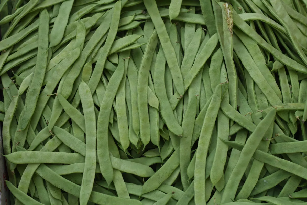 Judías Verdes con Patata